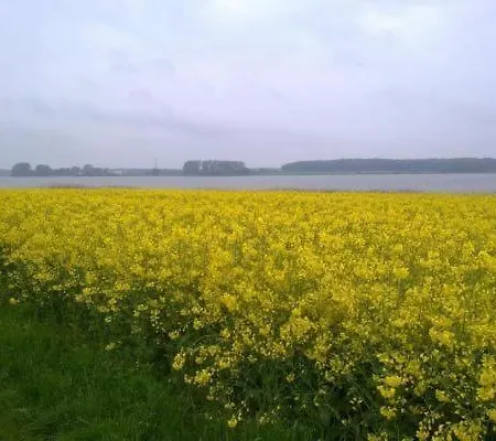 In Mit Grossem Garten Dom wakacyjny